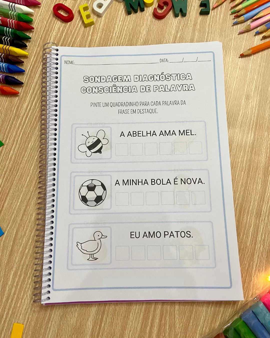 Apostila de Sondagem Diagnóstica Completa - Imagem 3