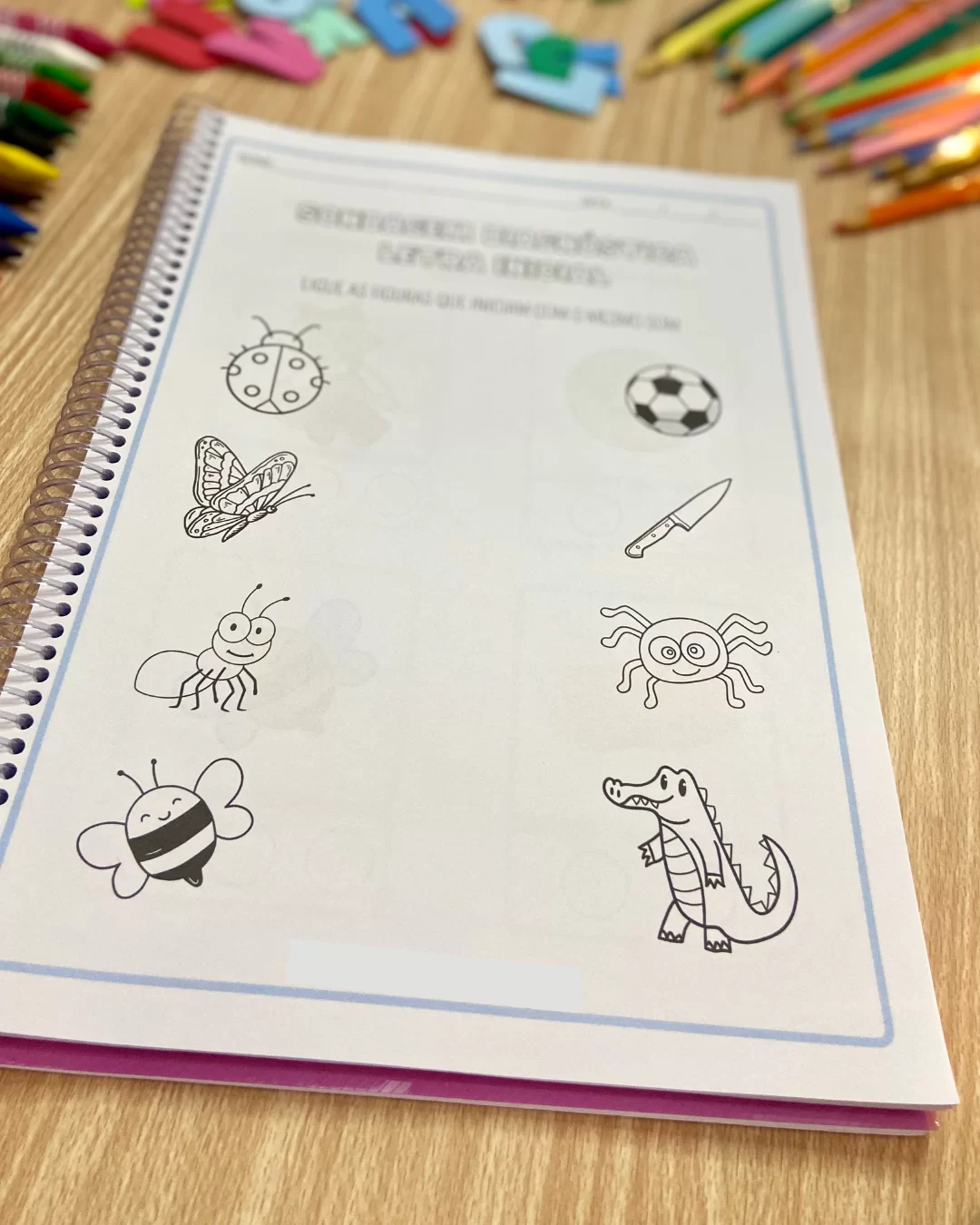 Apostila de Sondagem Diagnóstica Completa - Imagem 4