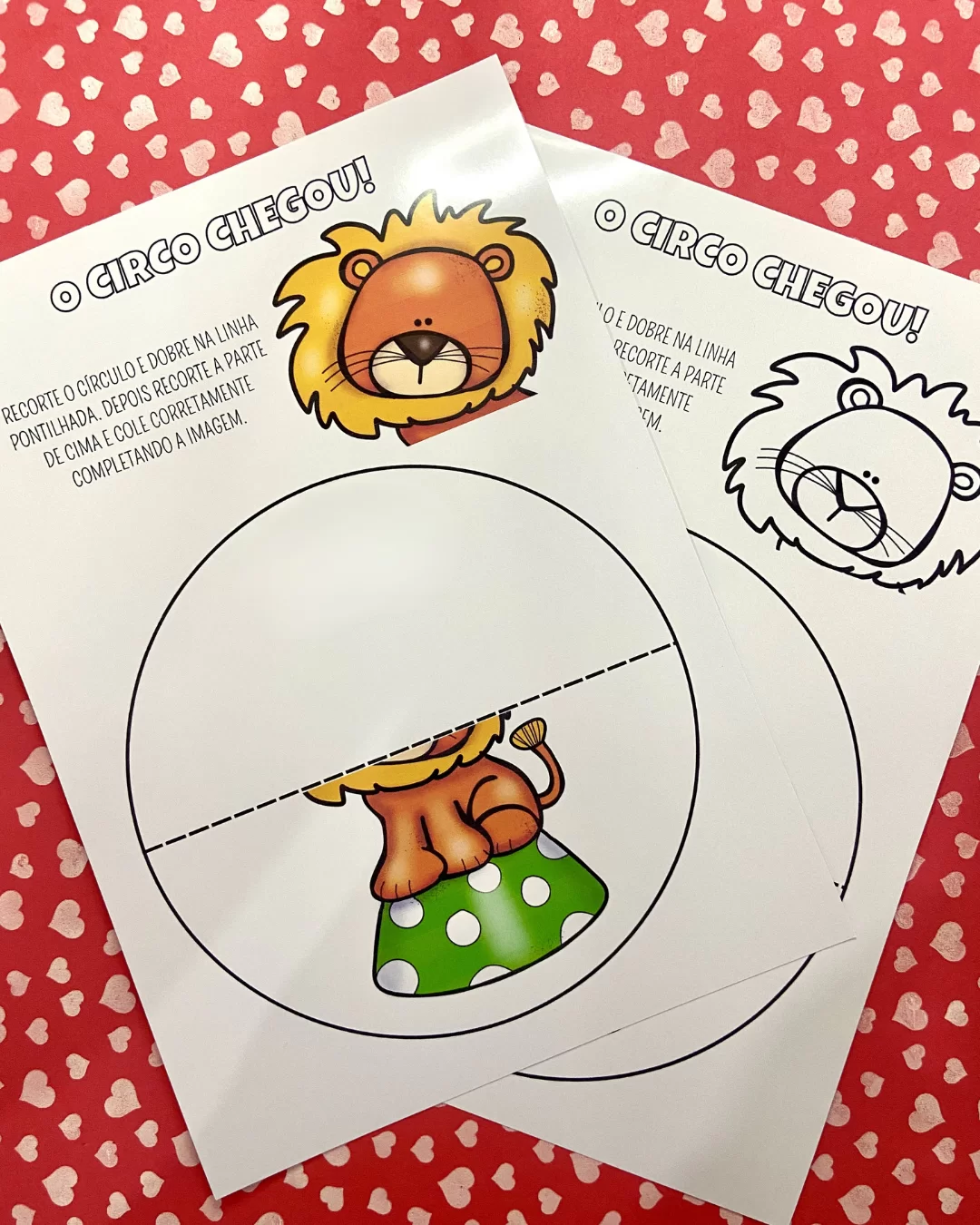Kit Circo - Imagem 7