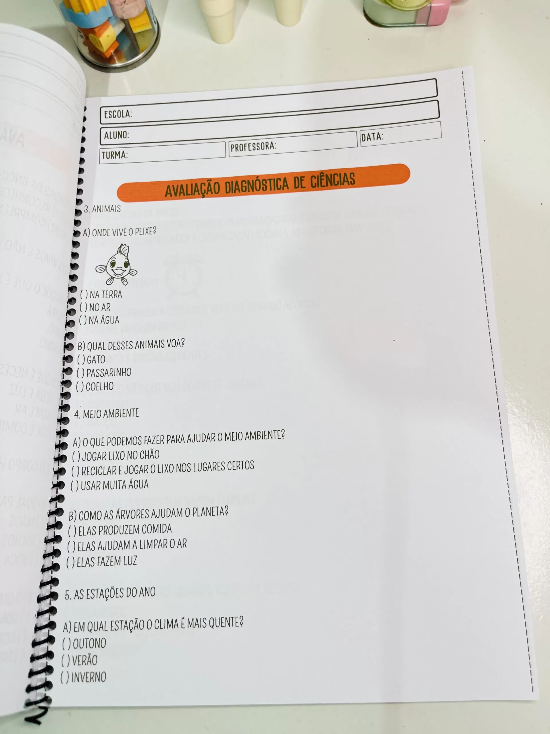 Avaliação Diagnóstica - 1º Ano - Imagem 2