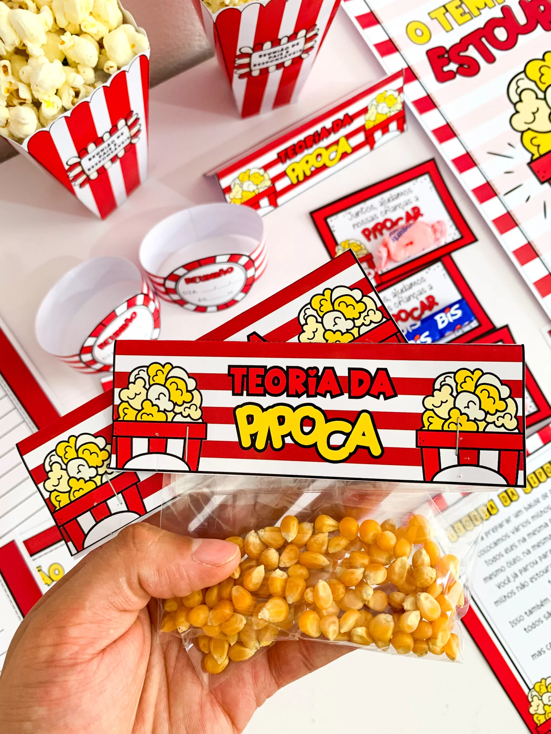 Kit Teoria da Pipoca - Imagem 5