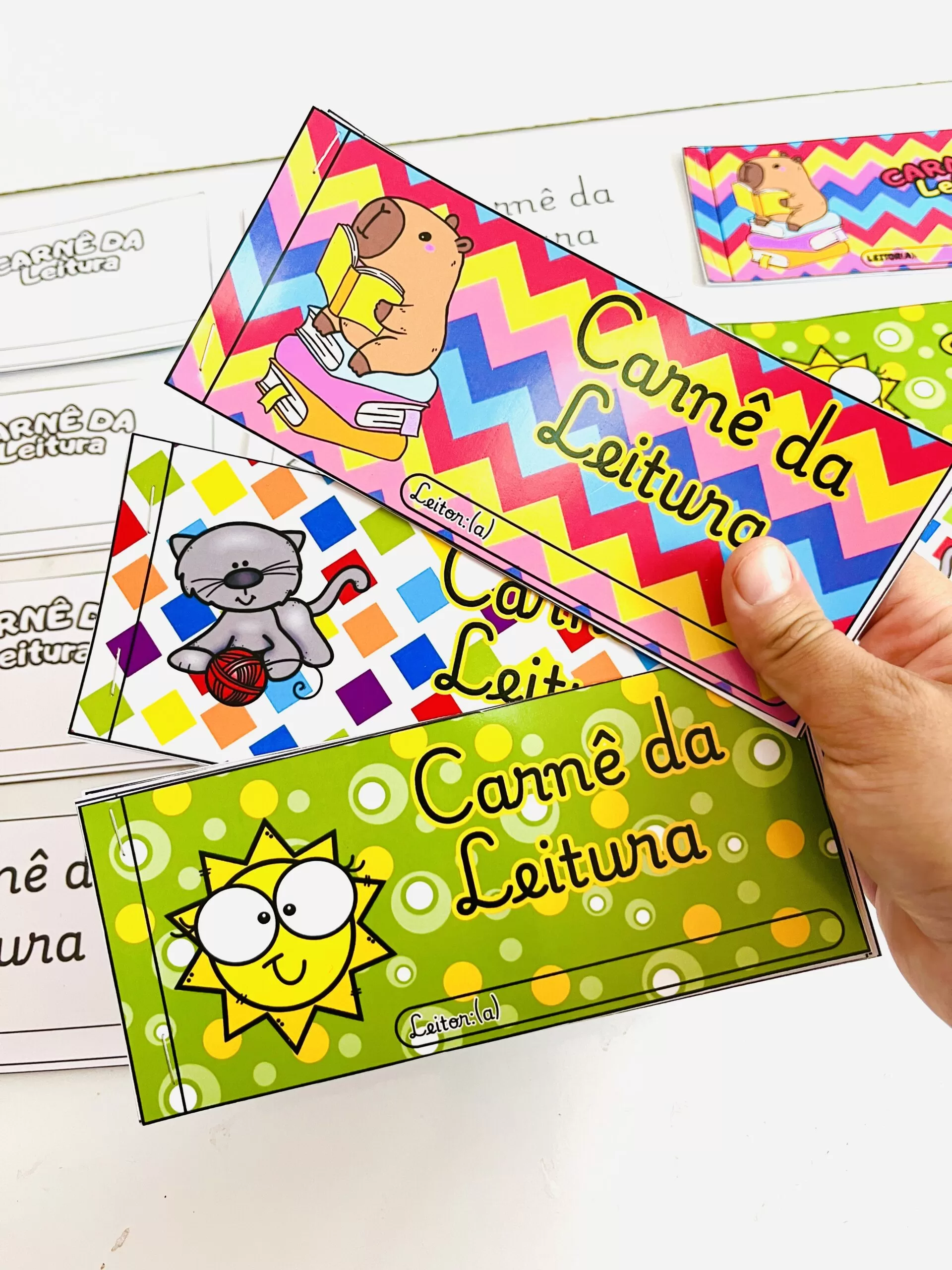 Carnê da Leitura - Imagem 5