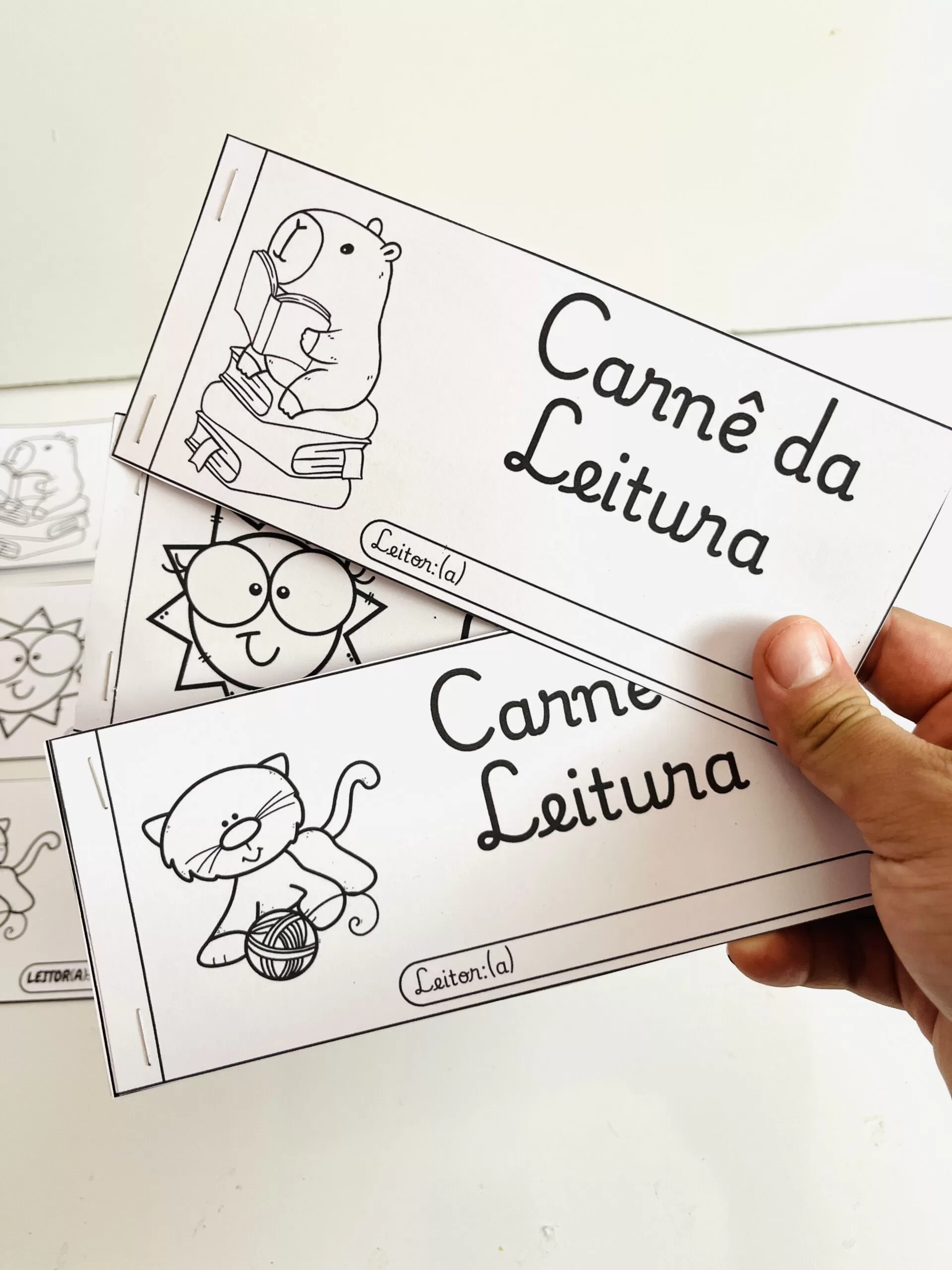 Carnê da Leitura - Imagem 3